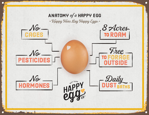 This infographic shows the production process for making free range Happy Eggs