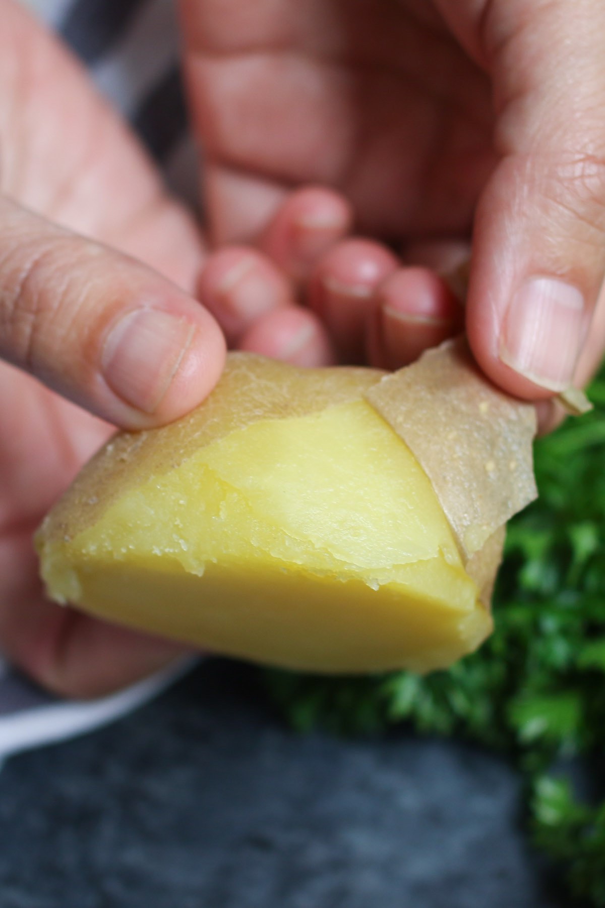 Closeup of peeling the skin off a boiled potato readily with the fingers once cool