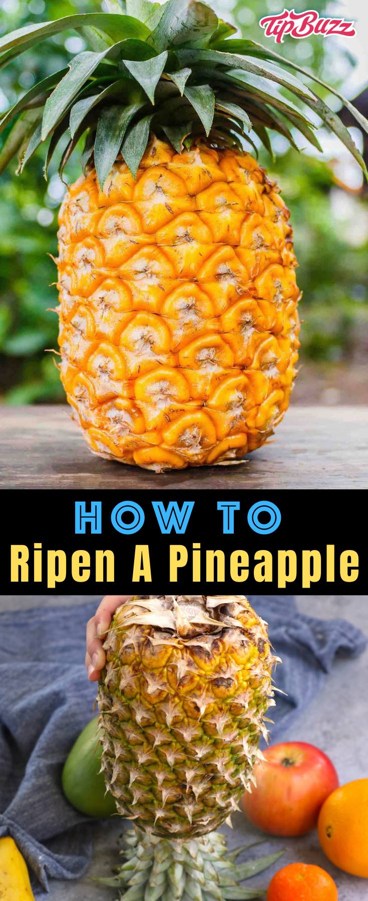 How to Ripen a Pineapple - learn all the tips and tricks to get a ripe pineapple faster! #pineapple