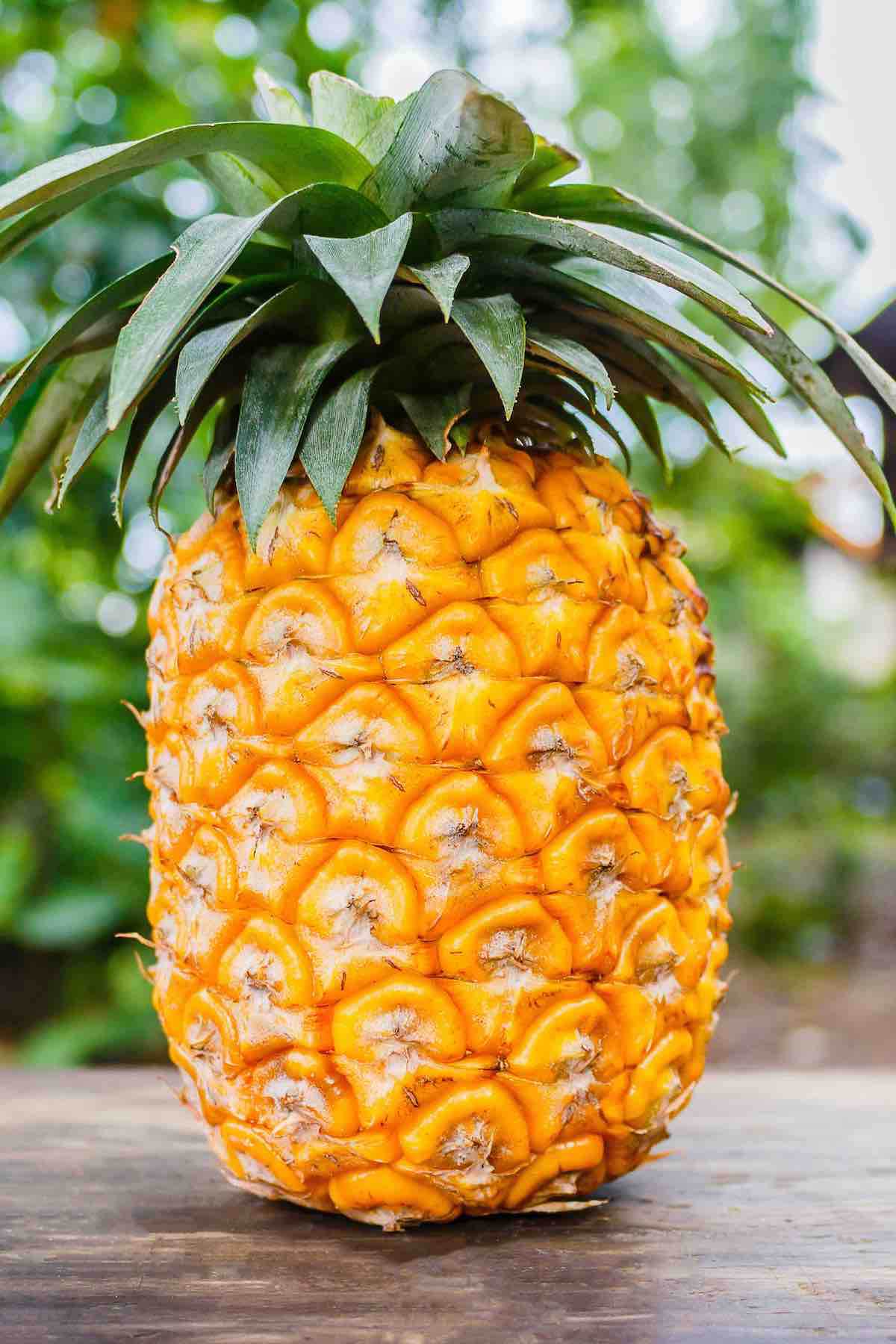 A perfectly ripe pineapple with golden colored skin