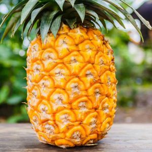 A perfectly ripe pineapple