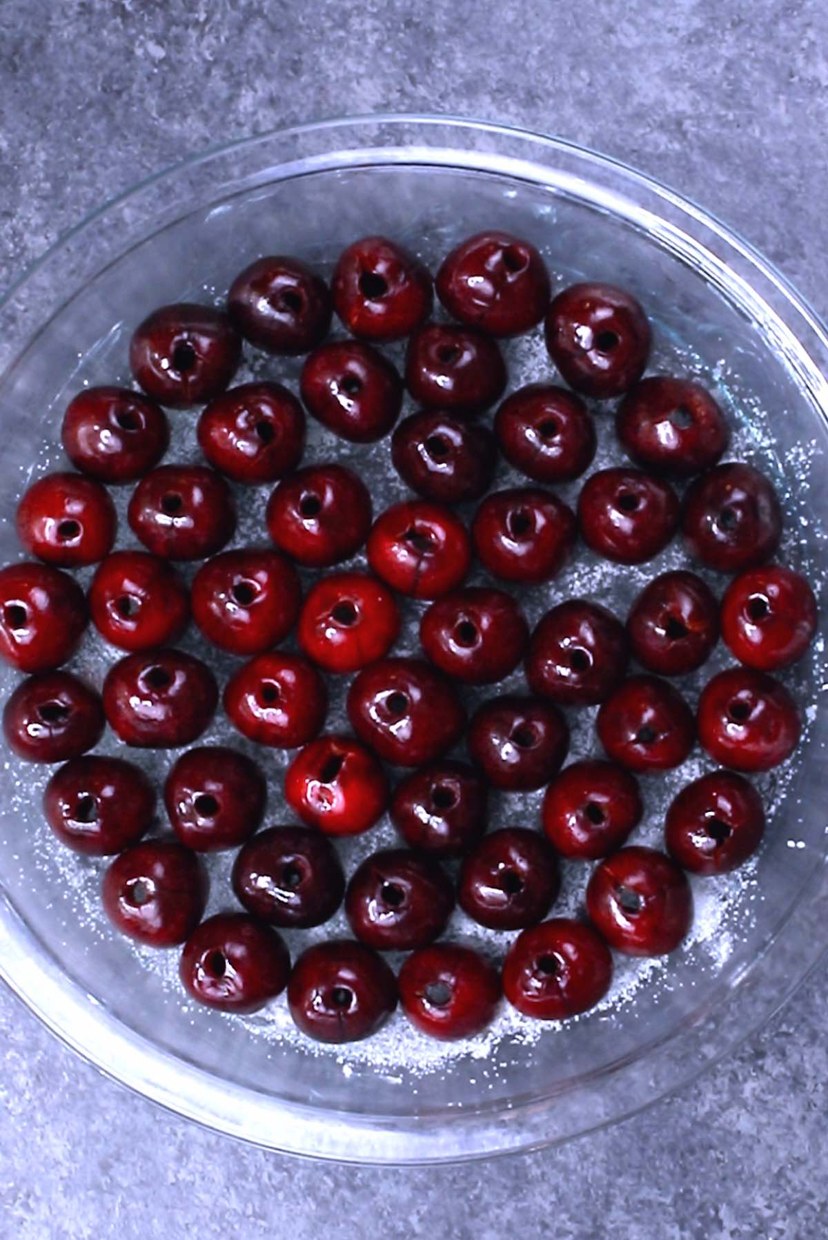 Overhead view of a greased pie plate filled with a single layer of pitted cherries when making clafoutis